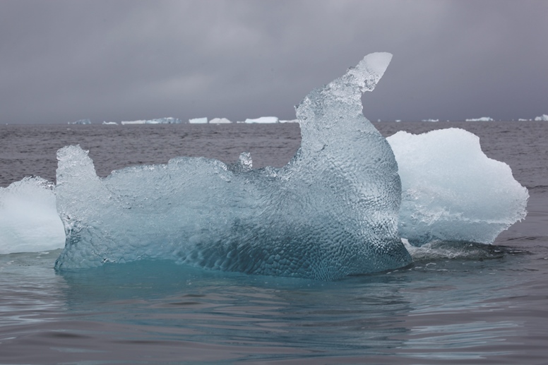 antarctica